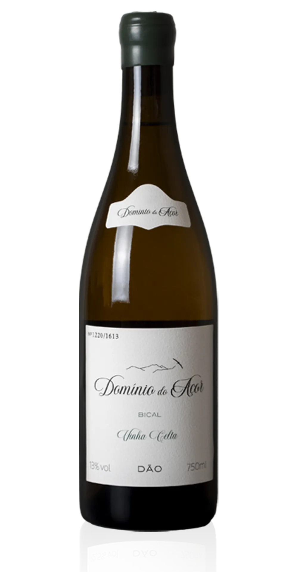 Vinha Celta Bical 2023