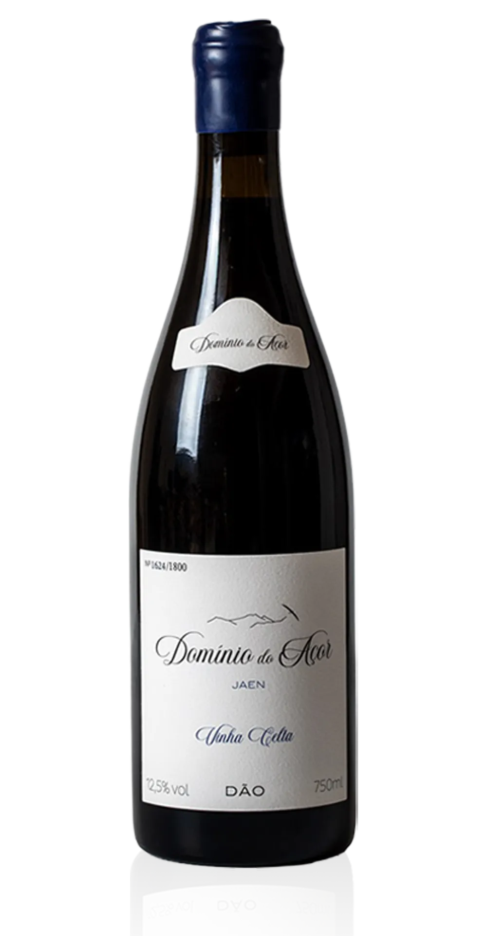 Vinha Celta Jaen 2022