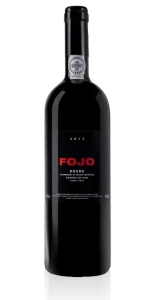 Fojo Douro 2013