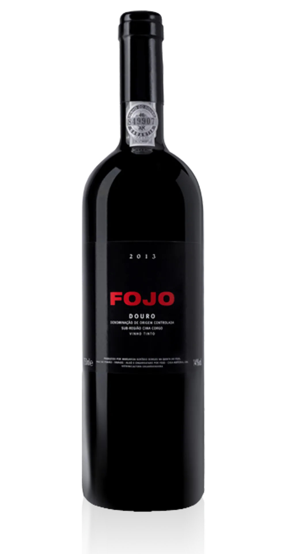 Fojo Douro 2013